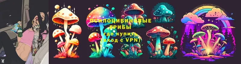 Псилоцибиновые грибы Psilocybine cubensis  Кудрово 