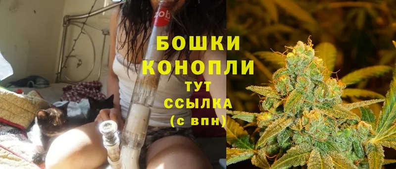 Шишки марихуана SATIVA & INDICA  darknet наркотические препараты  Кудрово 